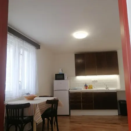 Nakonci Apartment Vacenovice Exterior photo
